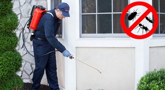 Çayırova Dezenfeksiyon böcek ilaçlama ve haşere kontrolü — ilaclama-tr.com